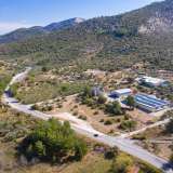  For Sale - (€ 0 / m2), Agricultural 7081 m2 Thasos 8098802 thumb5