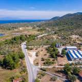  For Sale - (€ 0 / m2), Agricultural 7081 m2 Thasos 8098802 thumb6