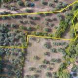  For Sale - (€ 0 / m2), Agricultural 6102 m2 Thasos 8098803 thumb4