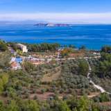  For Sale - (€ 0 / m2), Agricultural 6102 m2 Thasos 8098803 thumb0