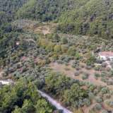  For Sale - (€ 0 / m2), Agricultural 6102 m2 Thasos 8098803 thumb8