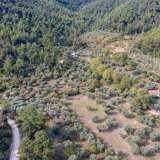  For Sale - (€ 0 / m2), Agricultural 6102 m2 Thasos 8098803 thumb5
