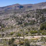  For Sale - (€ 0 / m2), Agricultural 1788 m2 Thasos 8098805 thumb9