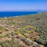  For Sale - (€ 0 / m2), Agricultural 1052 m2 Thasos 8098809 thumb2