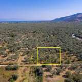  For Sale - (€ 0 / m2), Agricultural 1052 m2 Thasos 8098809 thumb6