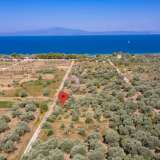  For Sale - (€ 0 / m2), Agricultural 1052 m2 Thasos 8098809 thumb0