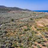  For Sale - (€ 0 / m2), Agricultural 1052 m2 Thasos 8098809 thumb5