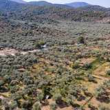  For Sale - (€ 0 / m2), Agricultural 1052 m2 Thasos 8098809 thumb8