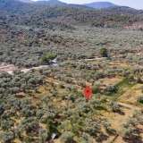  For Sale - (€ 0 / m2), Agricultural 1052 m2 Thasos 8098809 thumb9