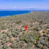  For Sale - (€ 0 / m2), Agricultural 796 m2 Thasos 8098810 thumb3