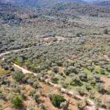  For Sale - (€ 0 / m2), Agricultural 796 m2 Thasos 8098810 thumb8