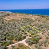  For Sale - (€ 0 / m2), Agricultural 796 m2 Thasos 8098810 thumb2