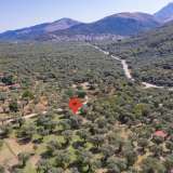  For Sale - (€ 0 / m2), Agricultural 796 m2 Thasos 8098810 thumb7