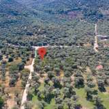  For Sale - (€ 0 / m2), Agricultural 796 m2 Thasos 8098810 thumb9