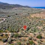 For Sale - (€ 0 / m2), Agricultural 796 m2 Thasos 8098810 thumb5