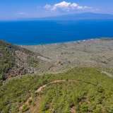  For Sale - (€ 0 / m2), Agricultural 38000 m2 Thasos 8098811 thumb2
