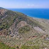  For Sale - (€ 0 / m2), Agricultural 38000 m2 Thasos 8098811 thumb3