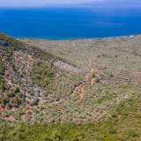  For Sale - (€ 0 / m2), Agricultural 38000 m2 Thasos 8098811 thumb7
