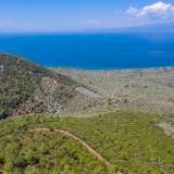  For Sale - (€ 0 / m2), Agricultural 38000 m2 Thasos 8098811 thumb8