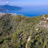  For Sale - (€ 0 / m2), Agricultural 3066.68 m2 Thasos 8098813 thumb7
