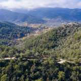  For Sale - (€ 0 / m2), Agricultural 3066.68 m2 Thasos 8098813 thumb9