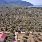  For Sale - (€ 0 / m2), Agricultural 2072 m2 Thasos 8098814 thumb5