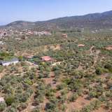  For Sale - (€ 0 / m2), Agricultural 2072 m2 Thasos 8098814 thumb7