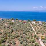  For Sale - (€ 0 / m2), Agricultural 2072 m2 Thasos 8098814 thumb0