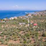 For Sale - (€ 0 / m2), Agricultural 2072 m2 Thasos 8098814 thumb6