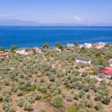 For Sale - (€ 0 / m2), Agricultural 2072 m2 Thasos 8098814 thumb3
