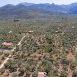  For Sale - (€ 0 / m2), Agricultural 2072 m2 Thasos 8098814 thumb8