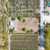  For Sale - (€ 0 / m2), Agricultural 1350 m2 Eleftheres 8098829 thumb5