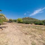  For Sale - (€ 0 / m2), Agricultural 1350 m2 Eleftheres 8098829 thumb9