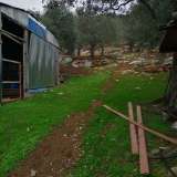  For Sale - (€ 0 / m2), Agricultural 6300 m2 Thasos 8098852 thumb7