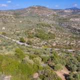  For Sale - (€ 0 / m2), Agricultural 4570 m2 Thasos 8098854 thumb8