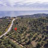  For Sale - (€ 0 / m2), Agricultural 4570 m2 Thasos 8098854 thumb5