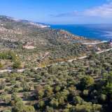 For Sale - (€ 0 / m2), Agricultural 4570 m2 Thasos 8098854 thumb7