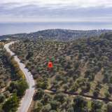  For Sale - (€ 0 / m2), Agricultural 4570 m2 Thasos 8098854 thumb4