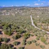  For Sale - (€ 0 / m2), Agricultural 4570 m2 Thasos 8098854 thumb9