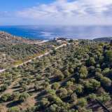  For Sale - (€ 0 / m2), Agricultural 4570 m2 Thasos 8098854 thumb6