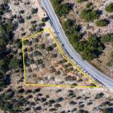  For Sale - (€ 0 / m2), Agricultural 2944 m2 Thasos 8098861 thumb3