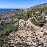  For Sale - (€ 0 / m2), Agricultural 2944 m2 Thasos 8098861 thumb7