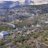 For Sale - (€ 0 / m2), Agricultural 4695 m2 Thasos 8098867 thumb6