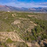  For Sale - (€ 0 / m2), Agricultural 4043.64 m2 Thasos 8098868 thumb4