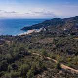  For Sale - (€ 0 / m2), Agricultural 4043.64 m2 Thasos 8098868 thumb2
