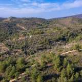  For Sale - (€ 0 / m2), Agricultural 4043.64 m2 Thasos 8098868 thumb9
