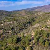  For Sale - (€ 0 / m2), Agricultural 4043.64 m2 Thasos 8098868 thumb8