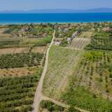  For Sale - (€ 0 / m2), Agricultural 4197 m2 Orfano 8098088 thumb4