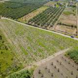  For Sale - (€ 0 / m2), Agricultural 4197 m2 Orfano 8098088 thumb1