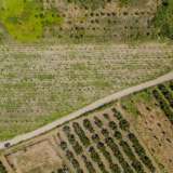  For Sale - (€ 0 / m2), Agricultural 4197 m2 Orfano 8098088 thumb7